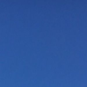 Meet your Posher, Skylar