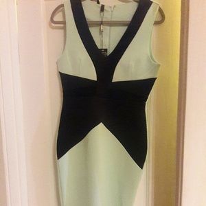 NWT Bodycon Kardashian Kollection dress
