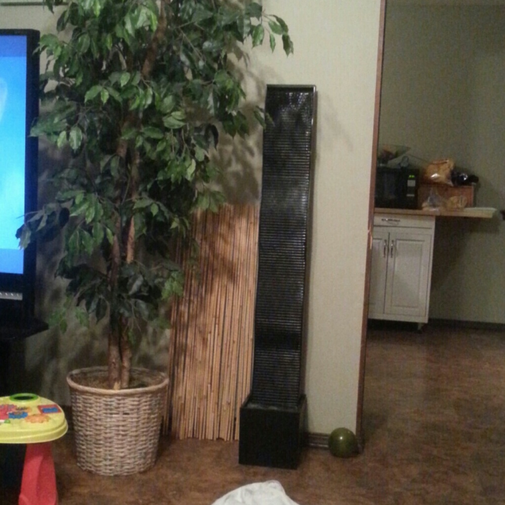 Meet your Posher, Kalie