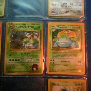 Venusaur Holo set