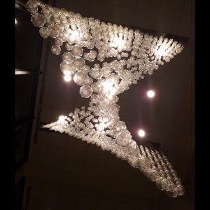 Meet your Posher, Julian