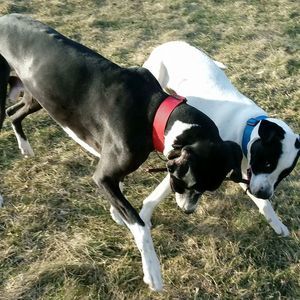 Meet your Posher, Candace