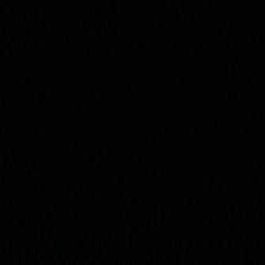 Meet your Posher, Hector