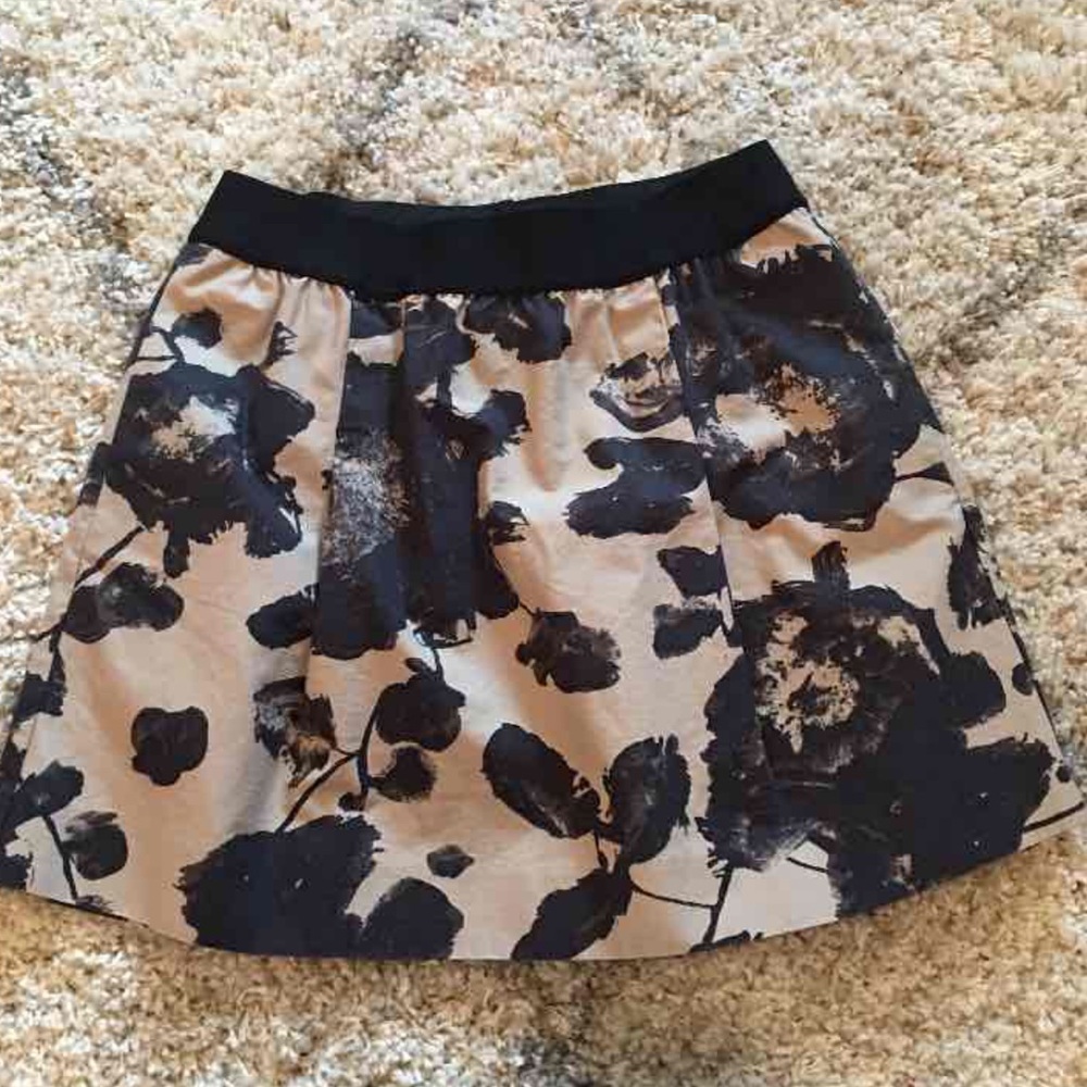 J Crew Skirt