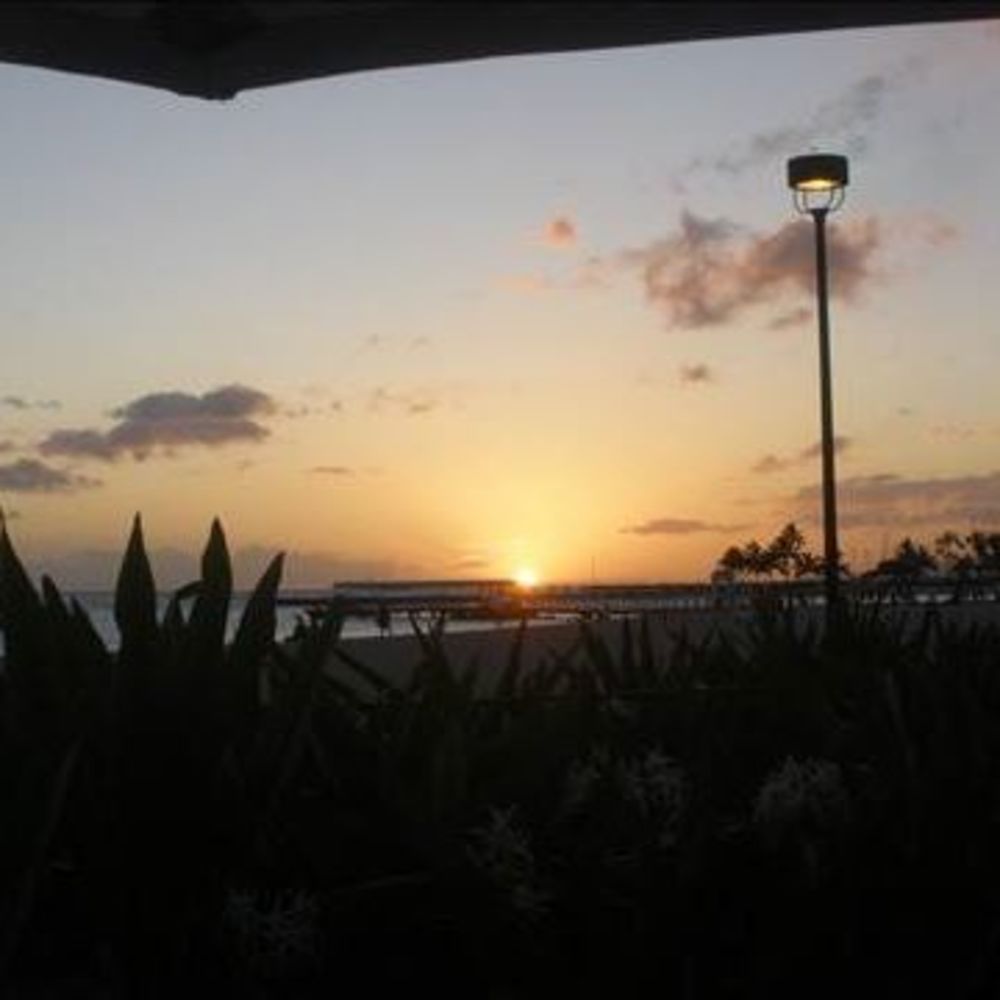 Meet your Posher, Mimi