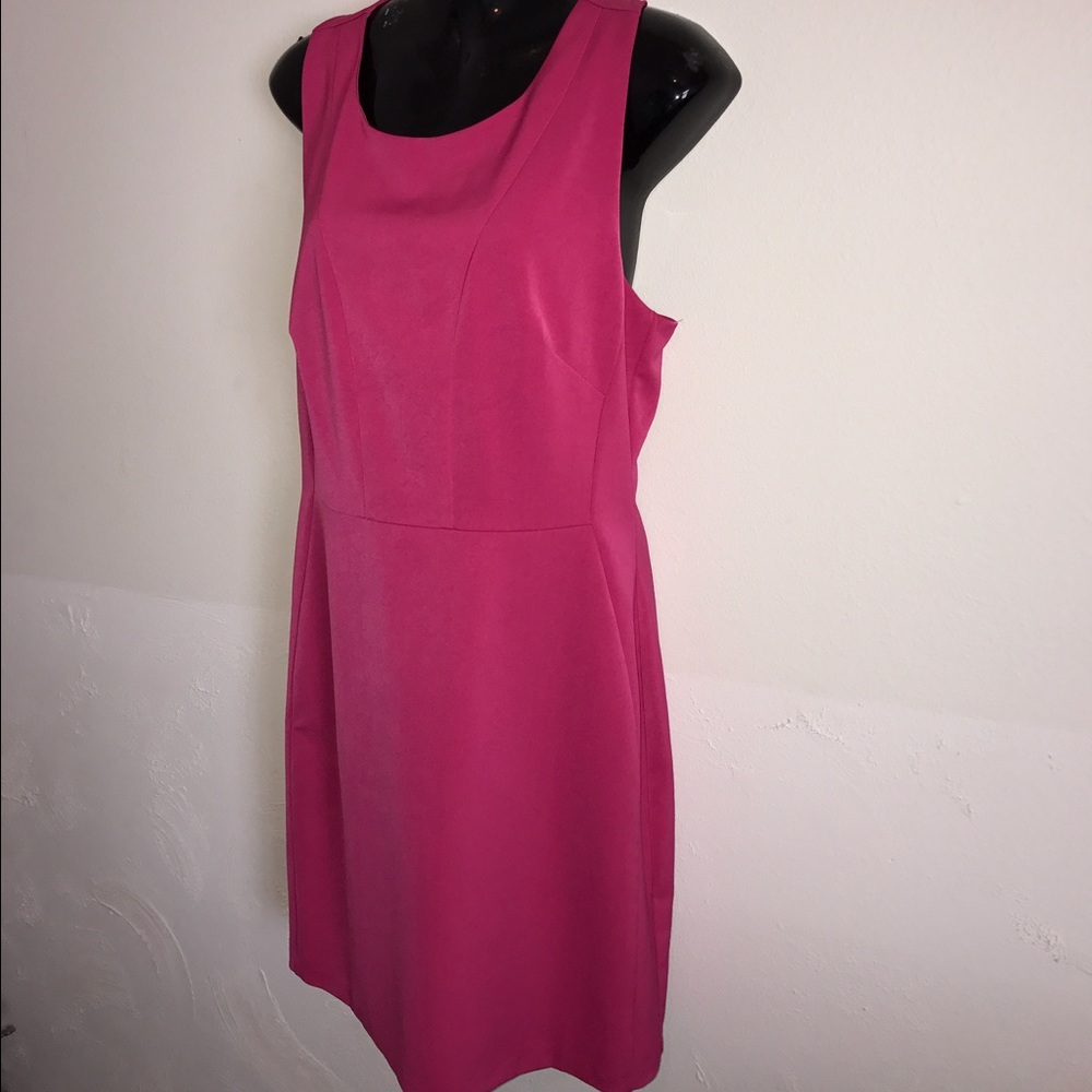 Poppylark size L razorback hot pink dress NWOT