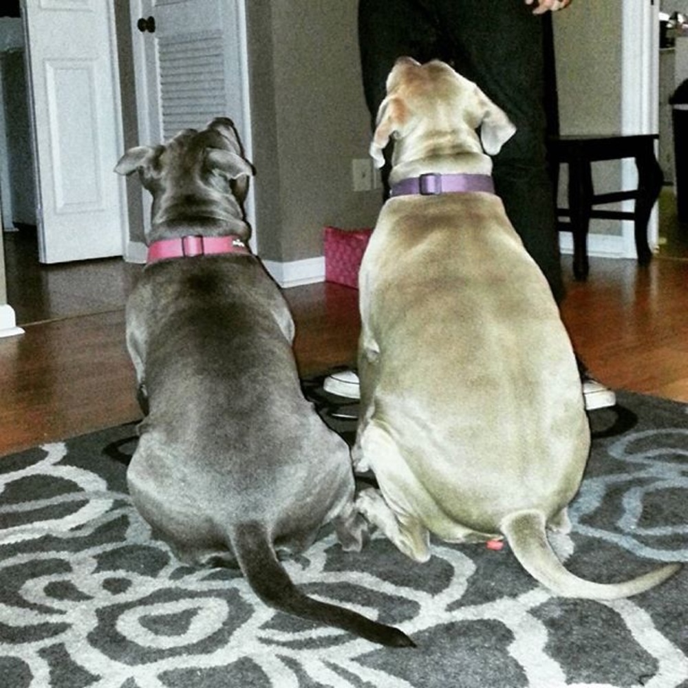 🎀 KETA AND SKYE 🎀