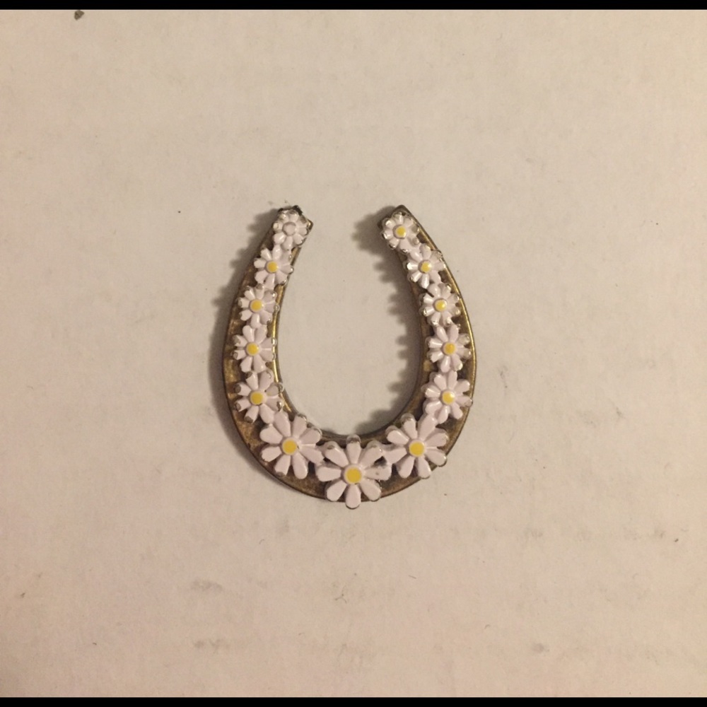 Lucky horseshoe charm