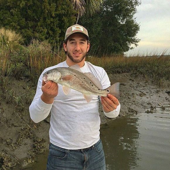 Meet your Posher, Davis - Picture 1 of 1