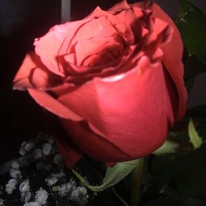 Meet your Posher, Teya