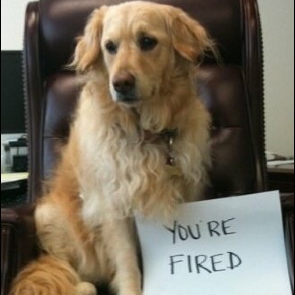 Meet your Posher, Michael - Picture 2 of 3