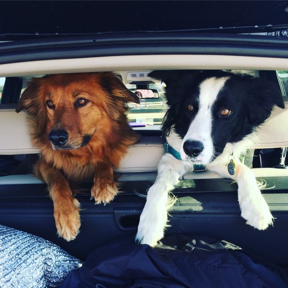 Meet your Posher, Michael - Picture 3 of 3