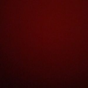 Meet your Posher, Ronald