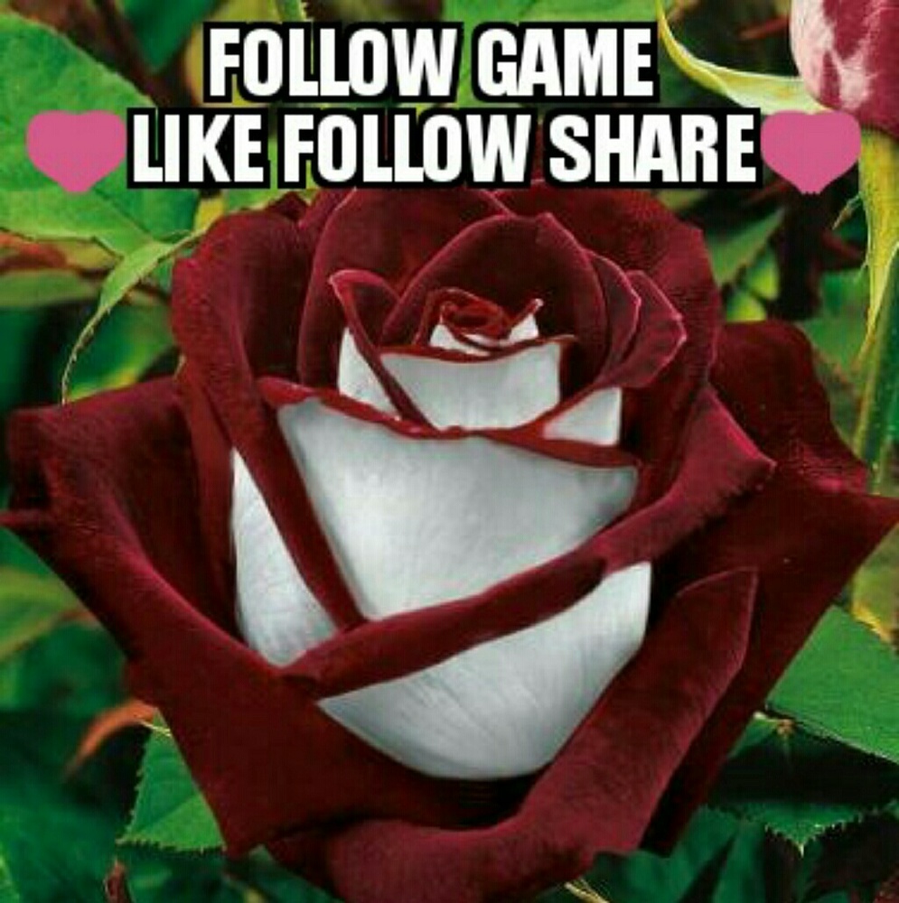 Fellow Poshers Grow Followers! 119 spots left! - Picture 1 of 1