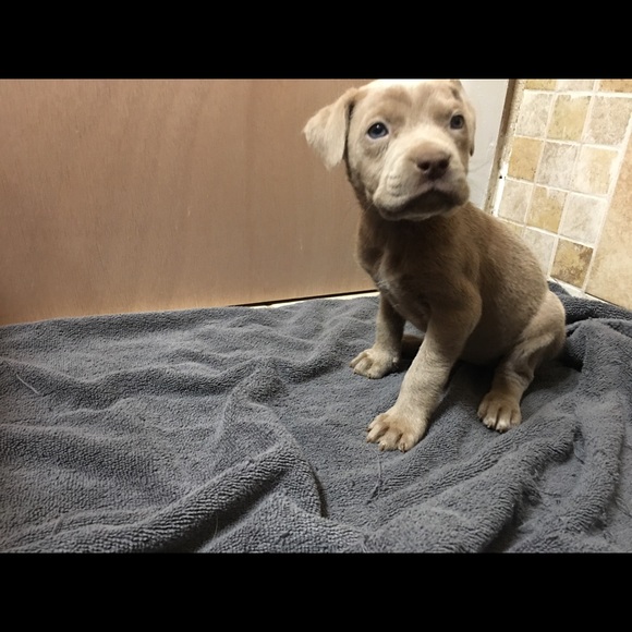 Meet your Posher, Carl - Picture 1 of 1