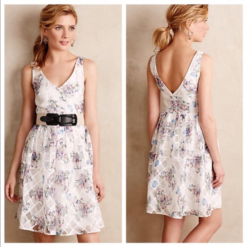 Anthro 'PEONY GARDEN DRESS'