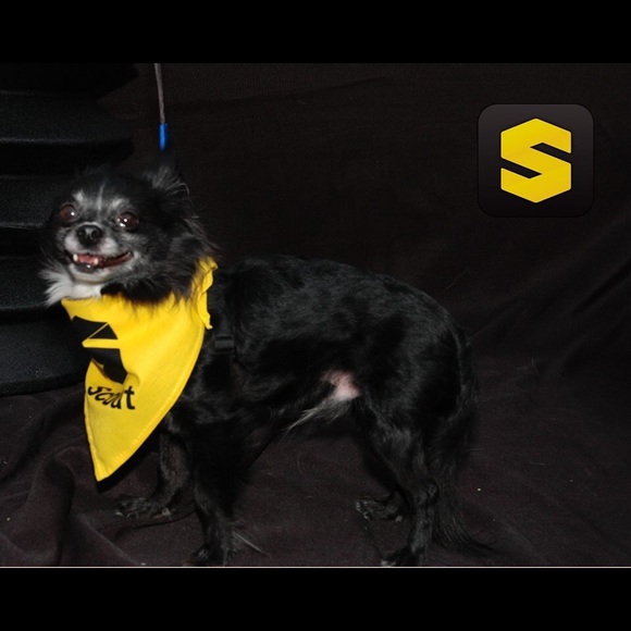 Meet your Posher, Theresa - Picture 4 of 4