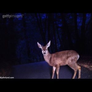 Meet your Posher, Quinston