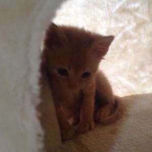 Meet your Posher, Jaimee