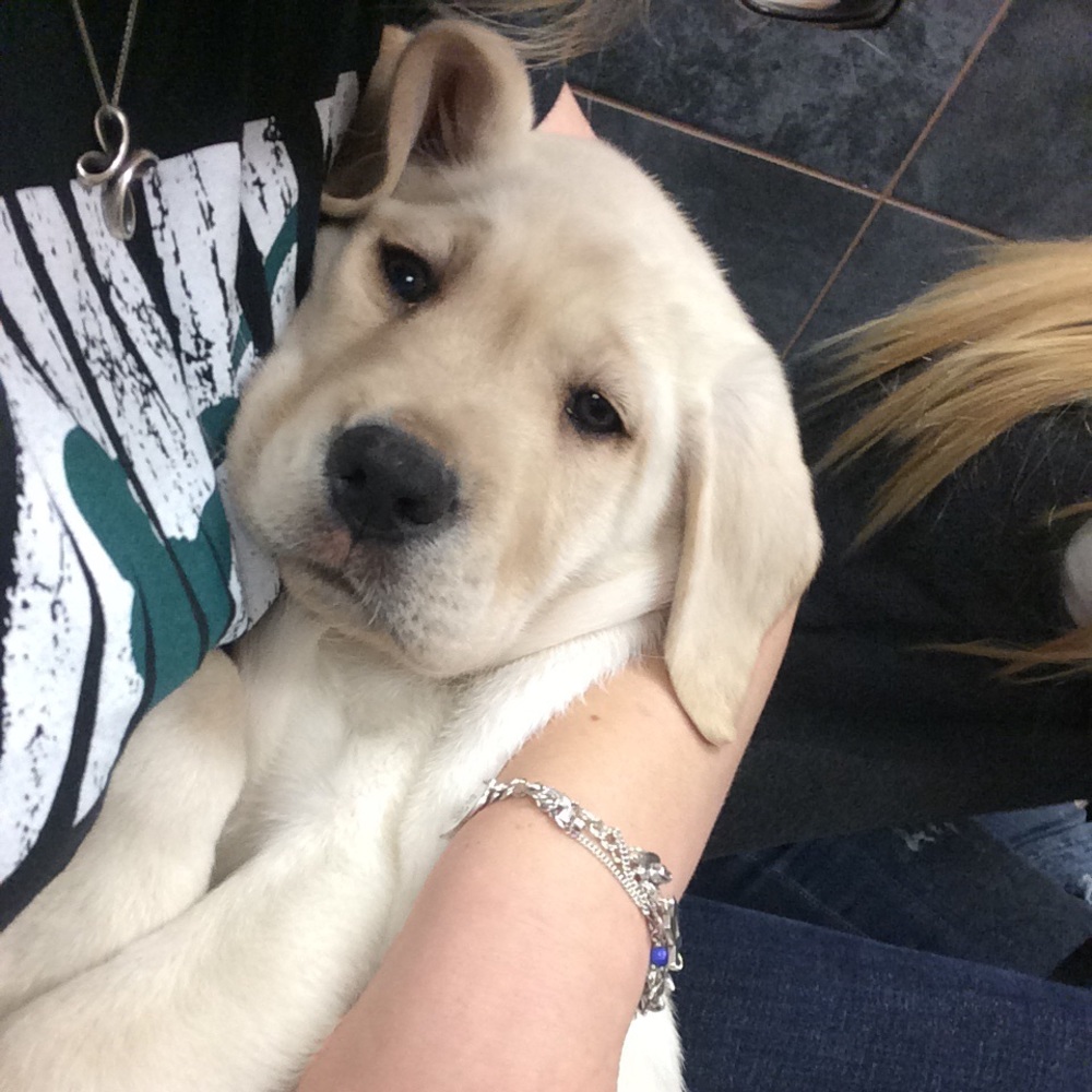 Meet your Posher, Kali