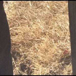 Meet your Posher, Haneefah