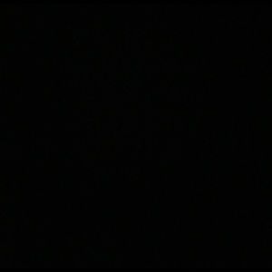 Meet your Posher, Landon