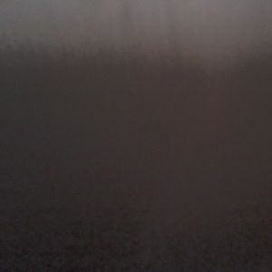 Meet your Posher, Brayden