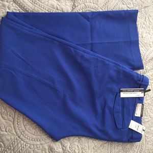 Express "Columnist" Pant