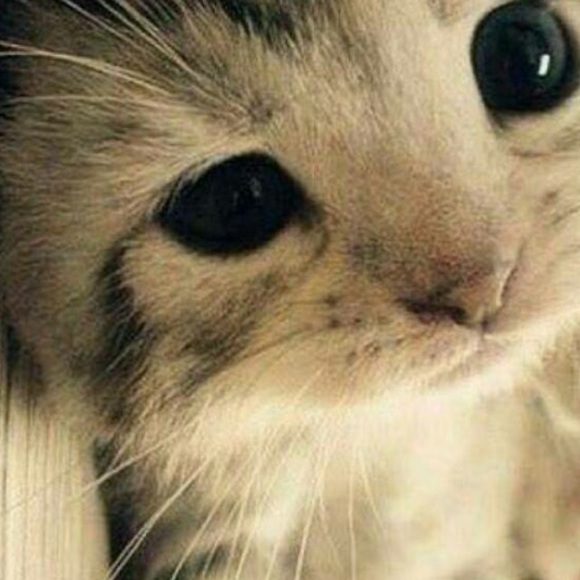 Meet your Posher, Nayely - Picture 1 of 1