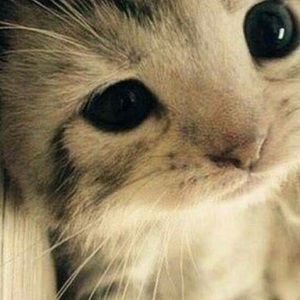 Meet your Posher, Nayely