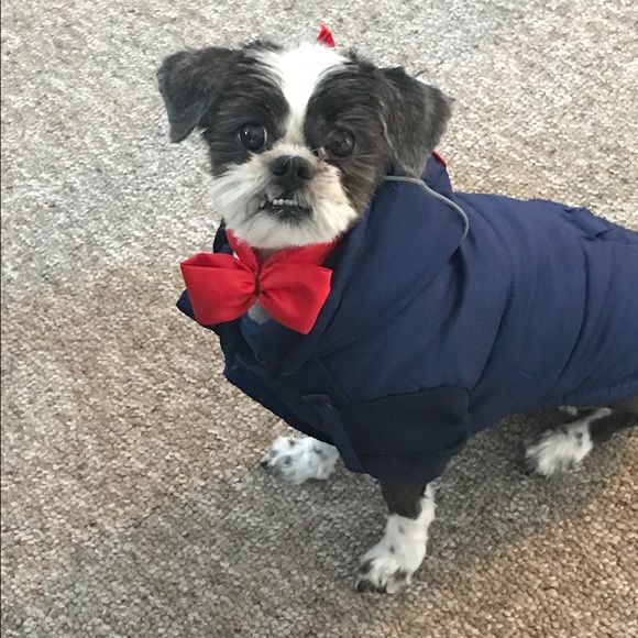 Meet your Posher, Lisa - Picture 1 of 1