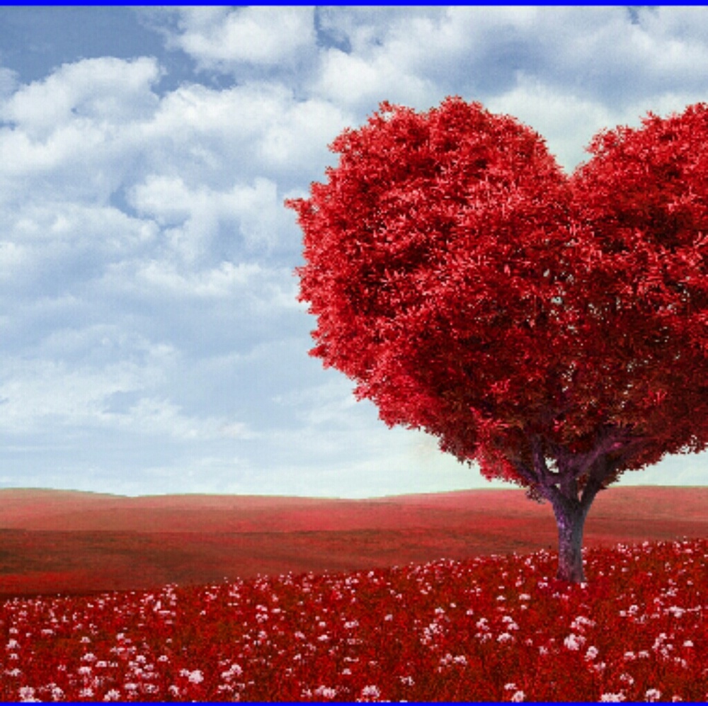 Meet your Posher, Brandi