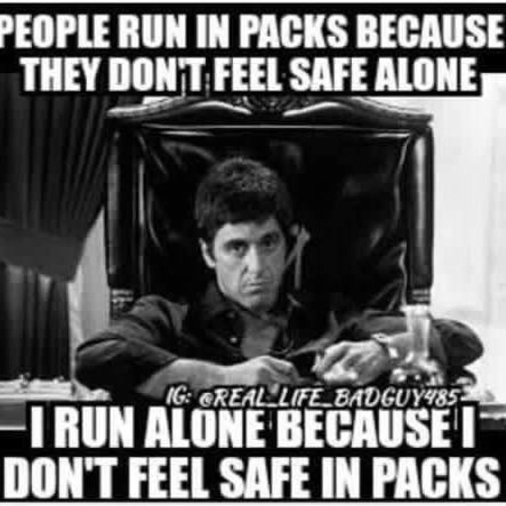 Meet your Posher, Joey