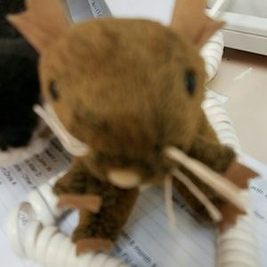 Meet your Posher, Christine