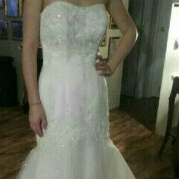 David's Bridal Wedding Gown - Picture 3 of 4