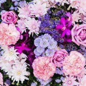 Meet your Posher, Juana