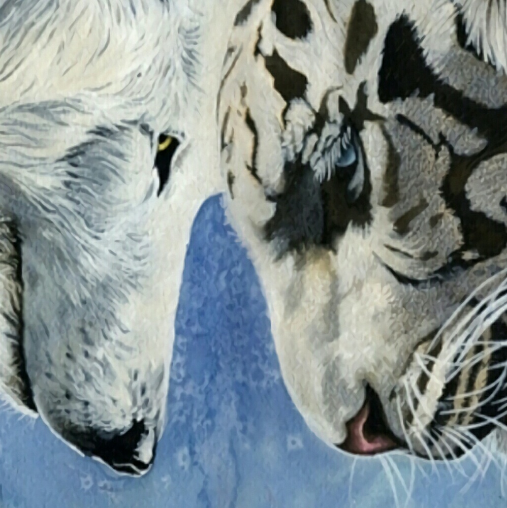 Meet your Posher, Kenneth