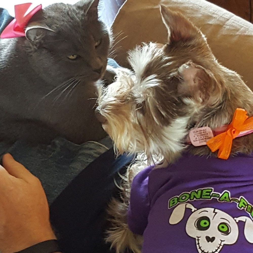 Meet your Posher, Christine