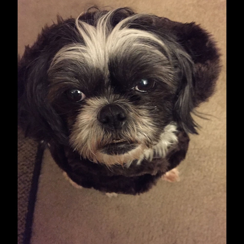 Meet your Posher, Lynda