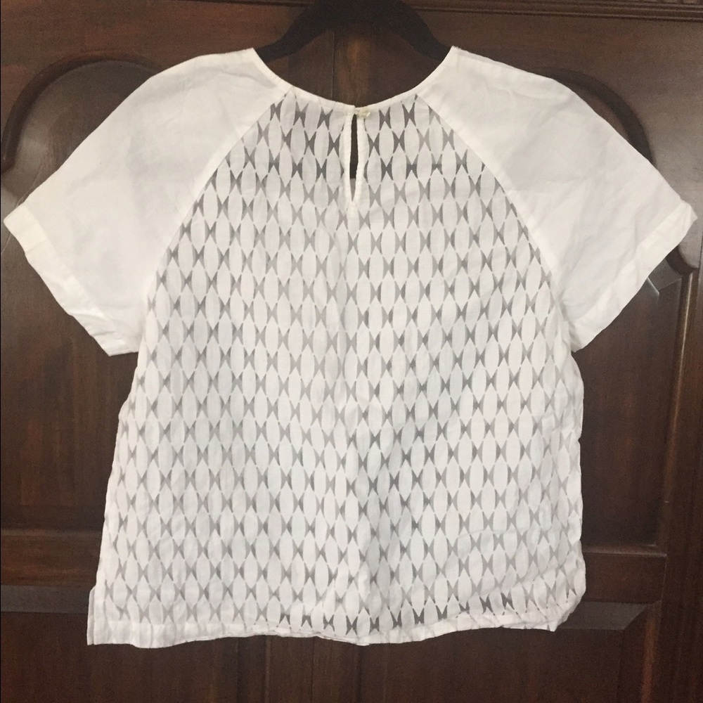 Fossil Top - Picture 2 of 2