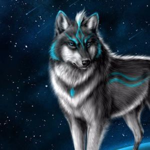 Meet your Posher, Curt