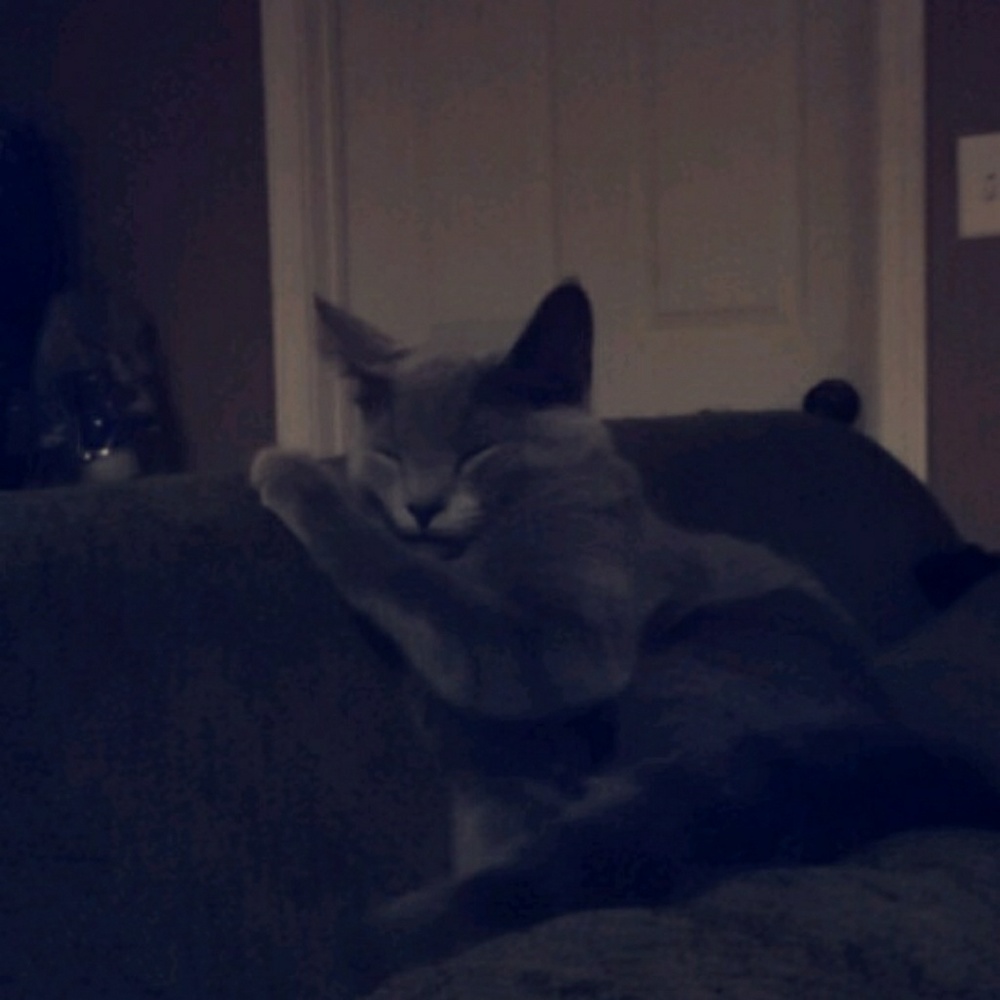 Meet your Posher, Bria