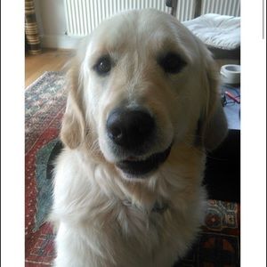 Meet your Posher, Connor