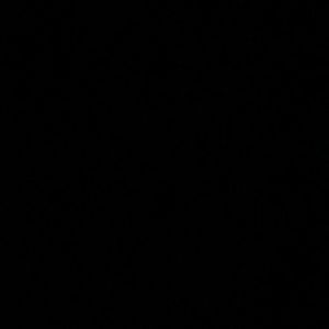 Meet your Posher, Miracle