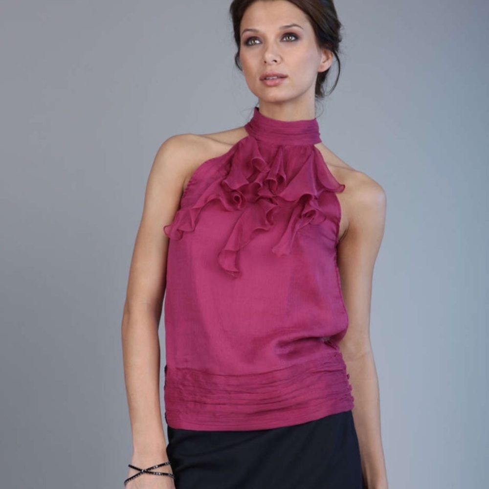 NWT Walter Baker Silk chiffon top