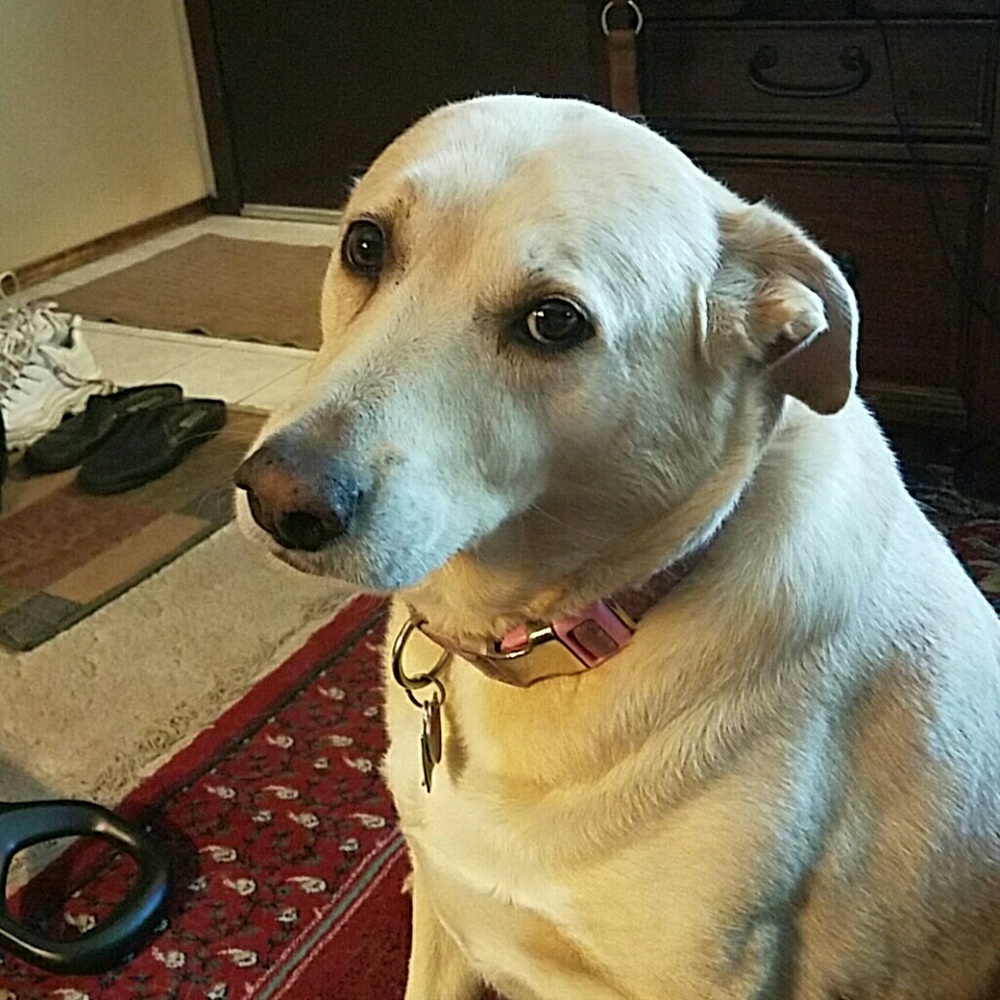 Meet your Posher, Christine