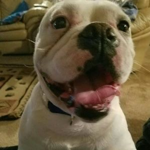 Meet your Posher, Holly