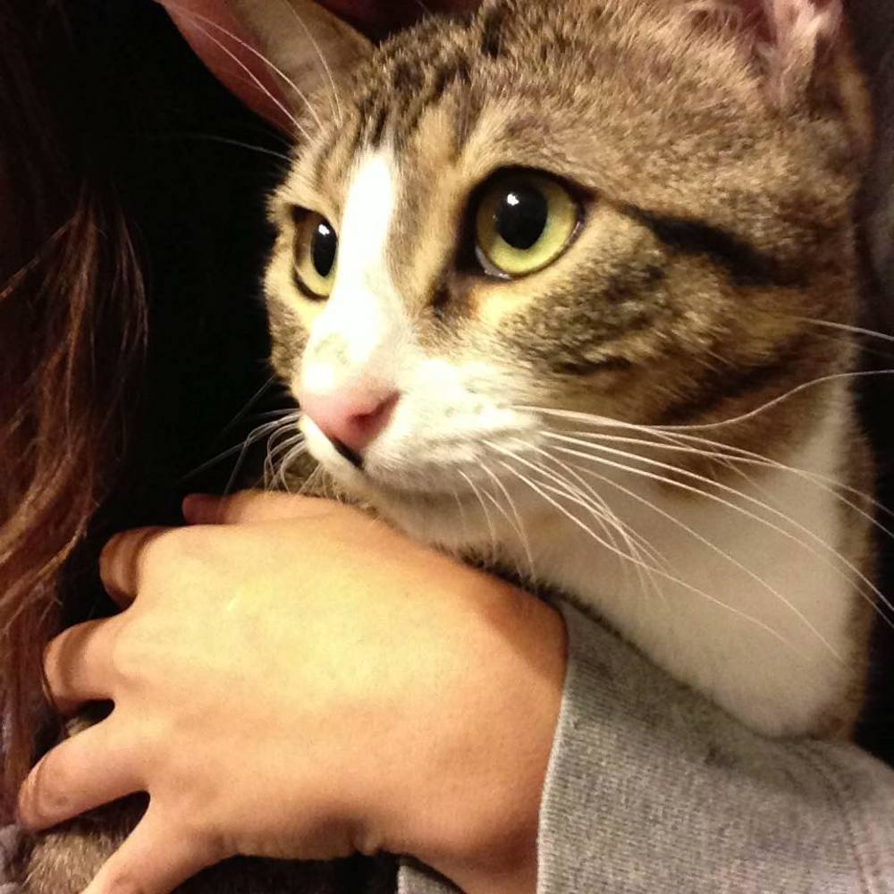 Meet your Posher, Riley