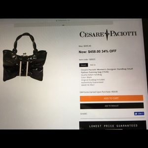 Cesare Paciotti Women's Designer evening bag.