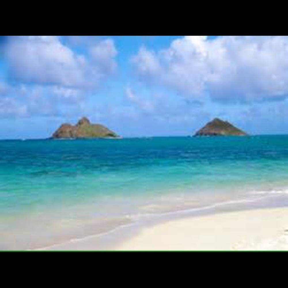 Meet your Posher, Katherine